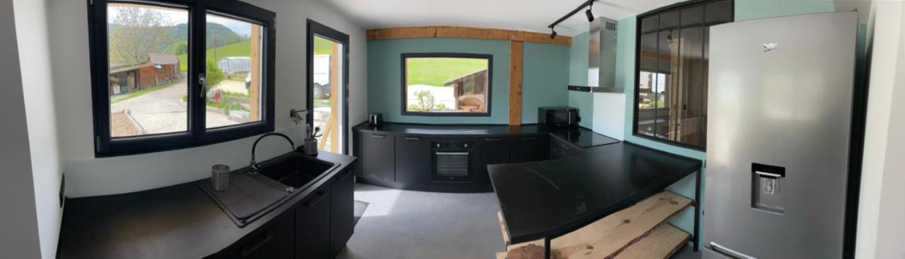 CHALET LA FOUGERE 15 personnes 180m2 bauges Savoie Thoiry Thoiry  Extérieur photo
