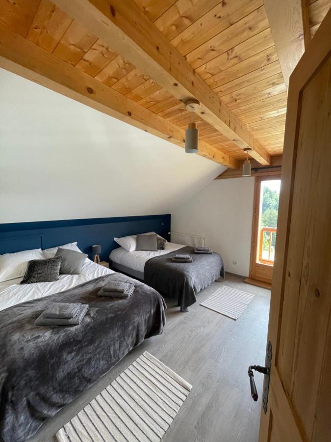 CHALET LA FOUGERE 15 personnes 180m2 bauges Savoie Thoiry Thoiry  Extérieur photo